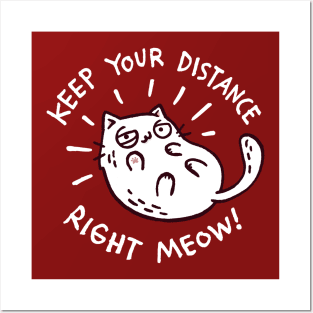 keep your distance right meow Posters and Art